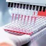 1custom-img-75-copyright